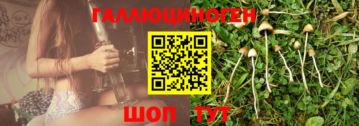 Галлюциногенные грибы MAGIC MUSHROOMS  Вход с VPN  Псилоцибиновые грибы Psilocybine cubensis  Асбест 