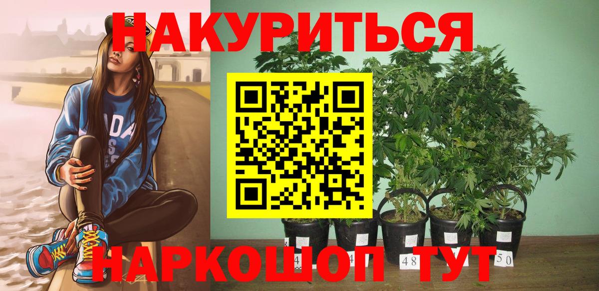 Каннабис AK-47  Марихуана семена  Асбест  Конопля план  Вход с VPN 